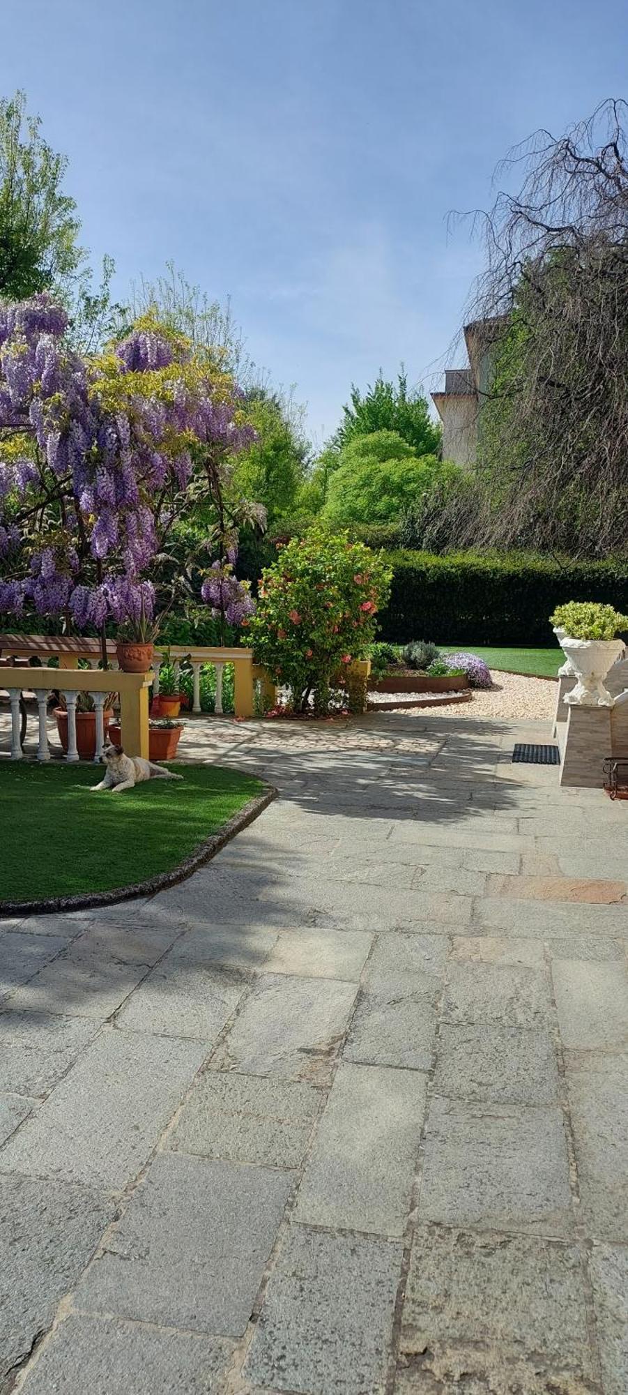 Villa Lina Cremona Exterior foto